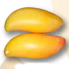 台龙芒